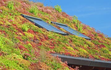 Up Marden living roof systems