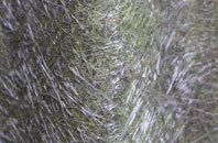 Up Marden fibreglass roof work